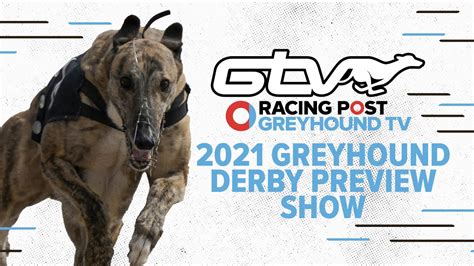 greyhound bet racing post